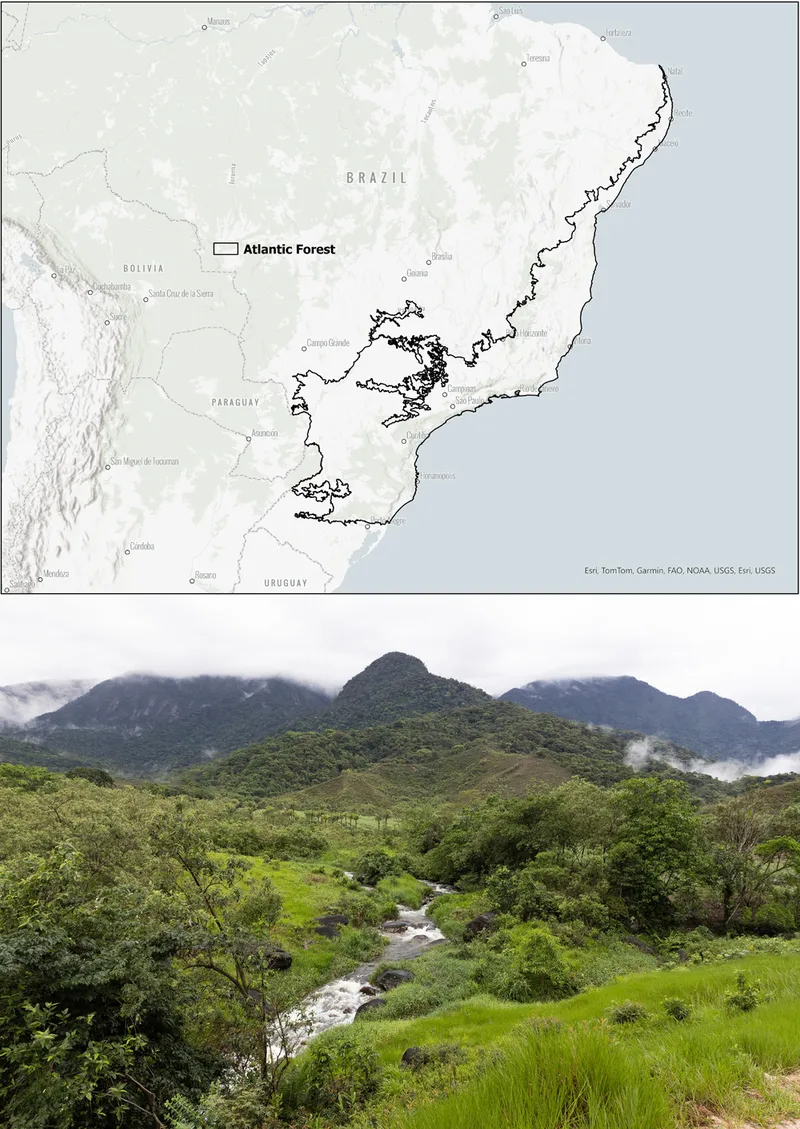 Map of Atlantic forest with landscape photo of Brazil environment