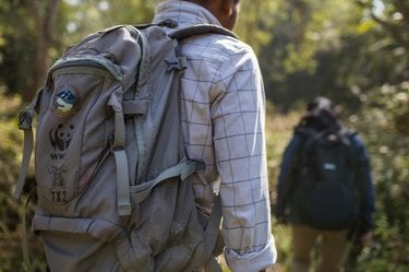 Person in forest facing away wearing from the camera so that their backpack with WWF logo is visible