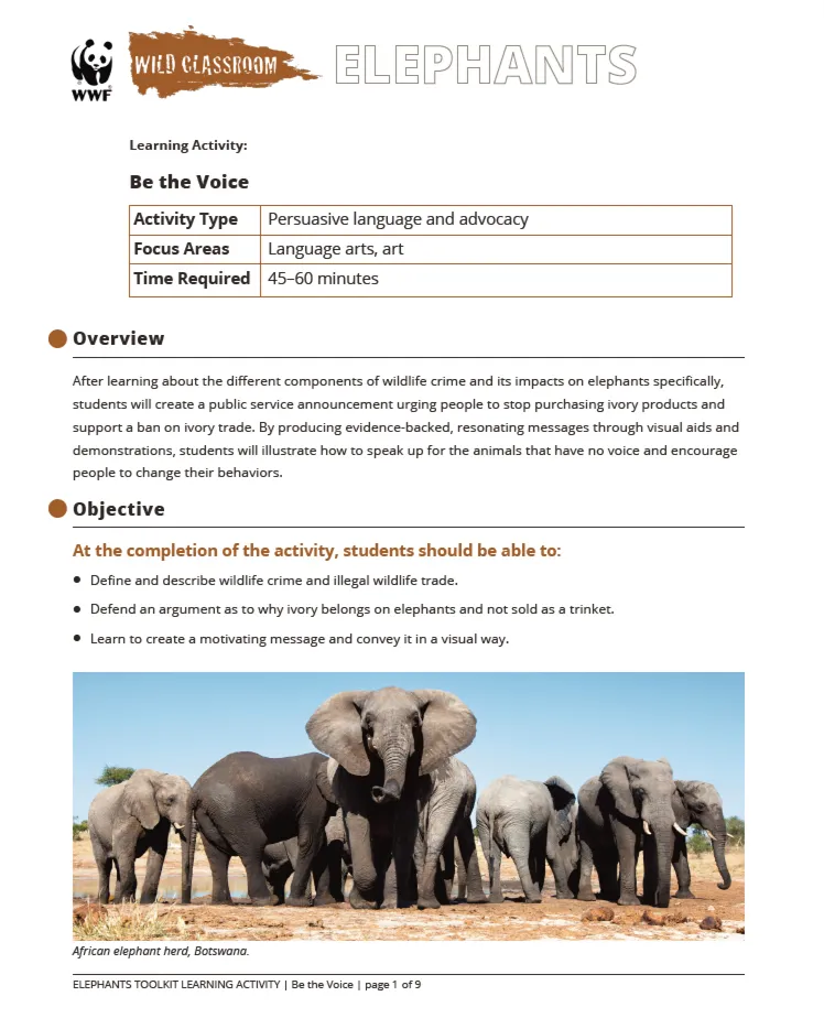 A preview of the Be the Voice learning activity