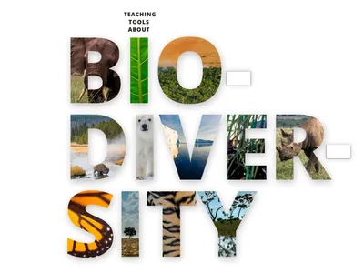 A preview of the cover slide of the biodiversity educators resource guide