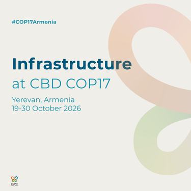 Infrastructure CBD COP17 graphic