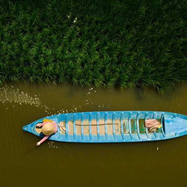 Aerial view of blue boat floating past rice plants
