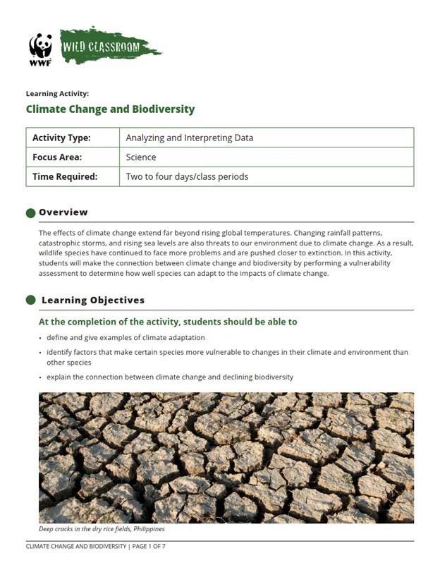 A preview of the first page of the activity