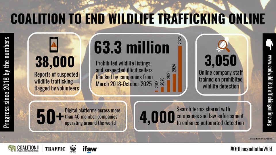 Various numbers displayed show progress made by the Coalition to End Wildlife Trafficking Online in 2025
