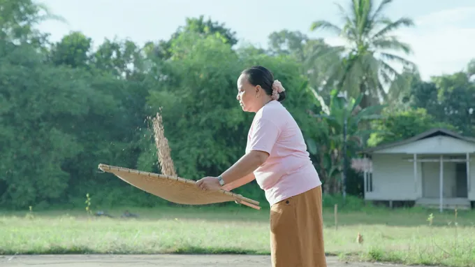 A woman tosses coffee in the air to process it, using a woven platform.