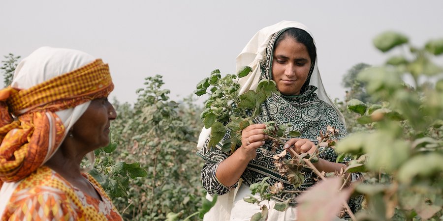 Two women in cotton field
