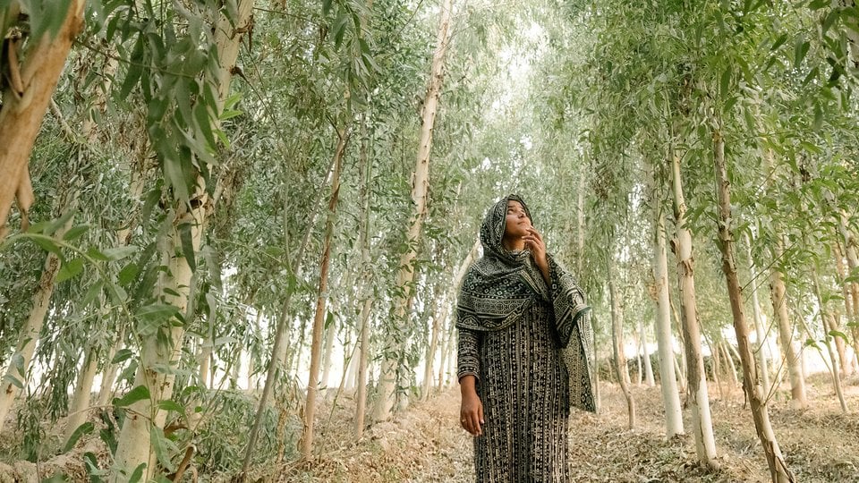 Woman standing among tall trees