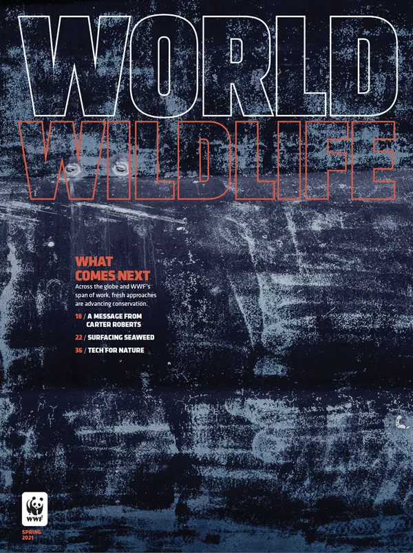 Spring 2021 magazine cover