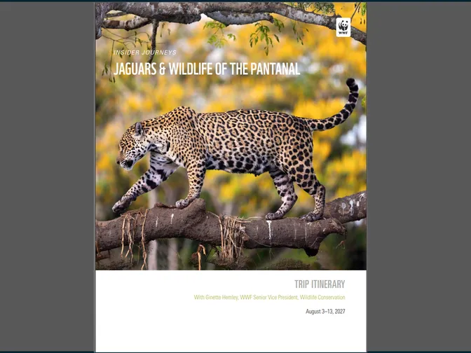 Pantanal Brochure Cover