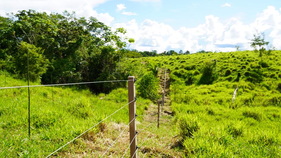 New fence in a open green landscape