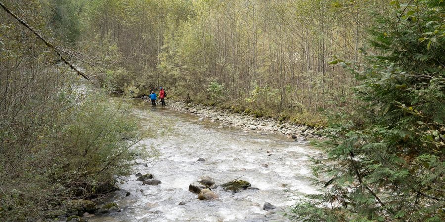 a wood lined river with two people standing in it but far away
