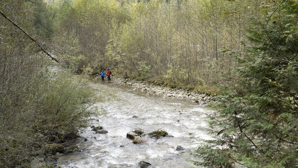 a wood lined river with two people standing in it but far away