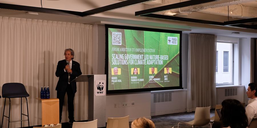 A man speaks at a WWF-branded podium in front of a presentation