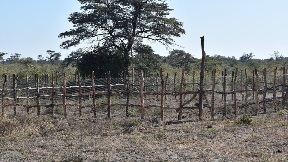 Image of an animal enclosure