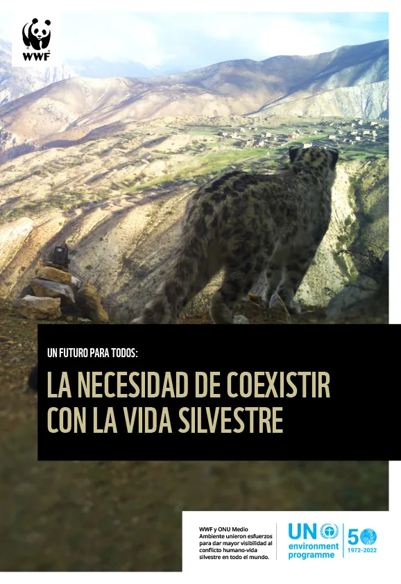 Cover of report showing jaguar on mountain