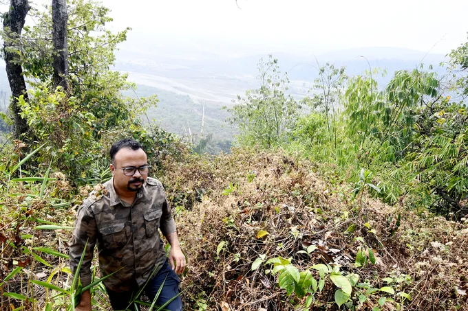 Man walks up slope through vegetation