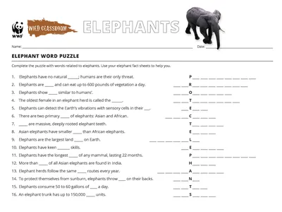 Elephant Word Puzzle