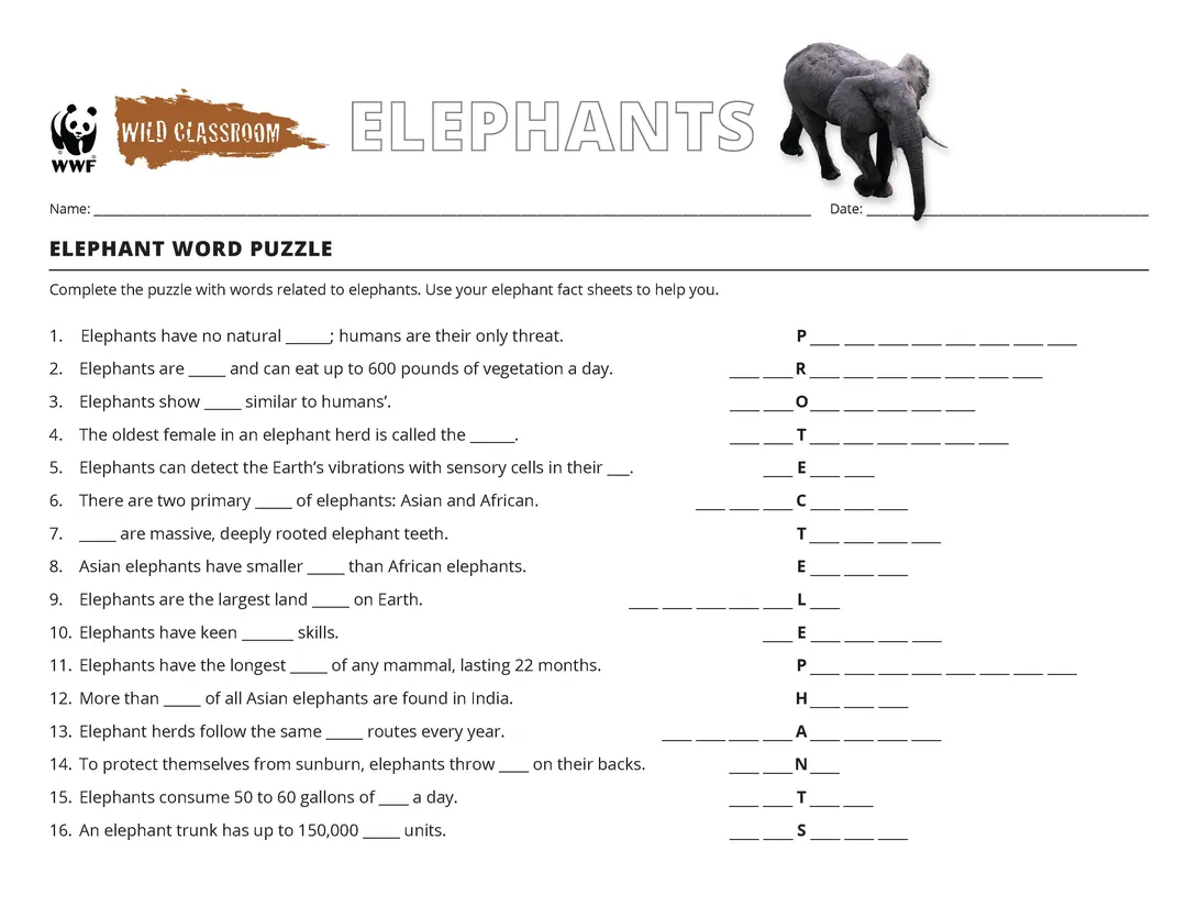 Elephant Word Puzzle