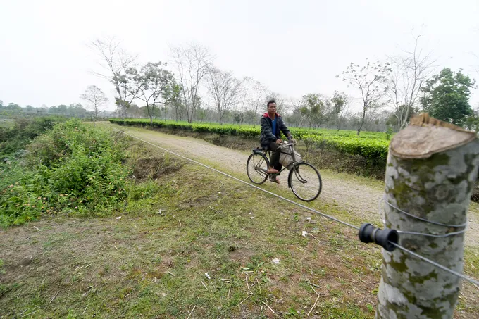 Man bikes along road beside fence