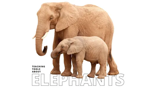 Elephant Educator’s Resource Guide Preview
