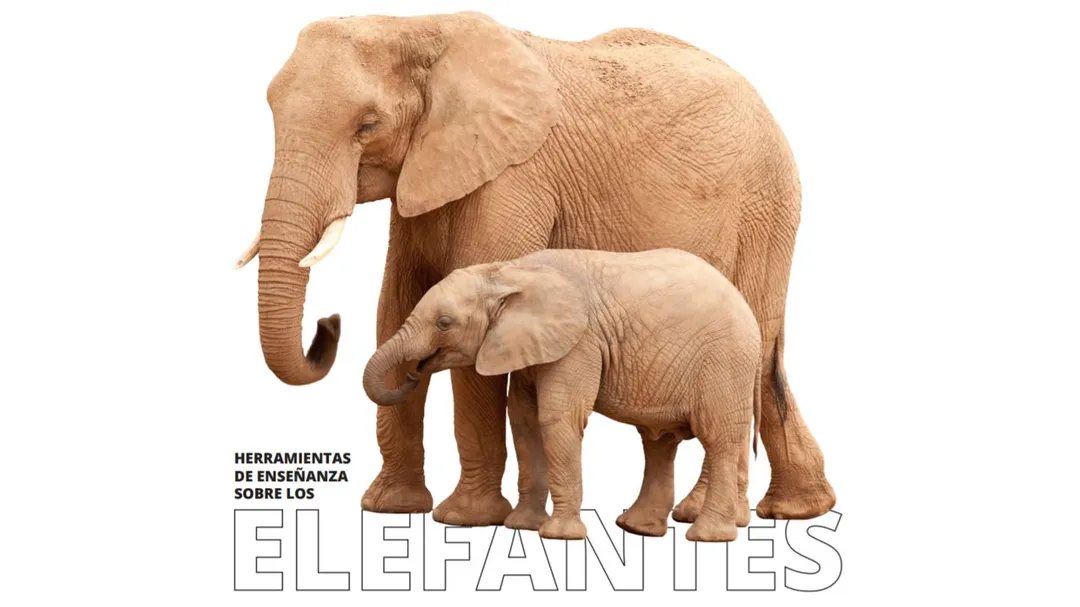 Herramientas Completas sobre los Elefantes