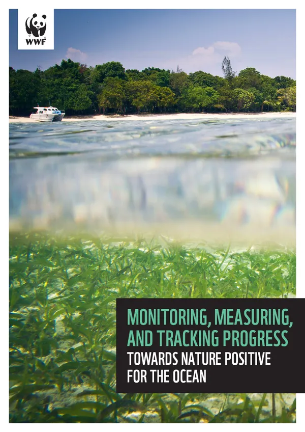 Report cover with underwater seashore image