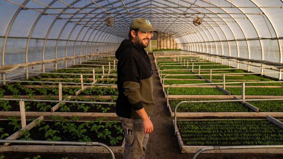 Wood stands in middle of greenhouse rows of plants