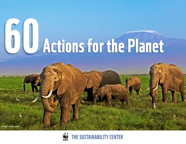 Cover of report with elephants in a open grassland
