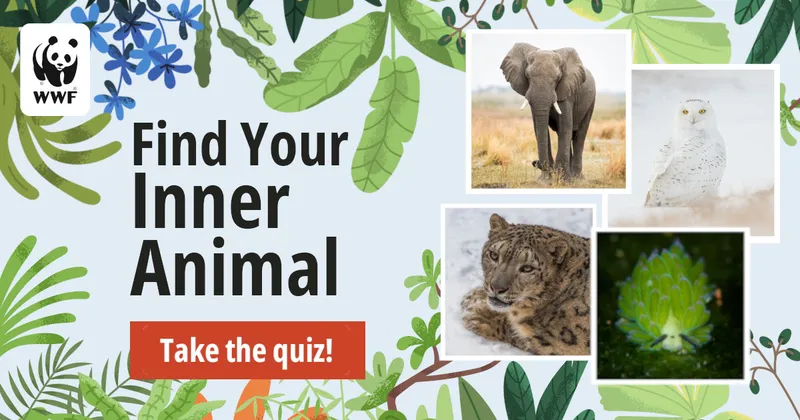 African elephant, snowy owl, leaf sheep, and snow leopard collage with the text find your inner animal