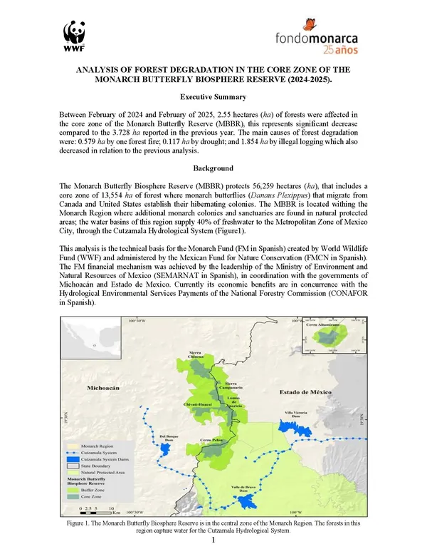 First page of report Forest Degradation in the Core Zone of the Monarch Butterfly Reserve 2024-2025