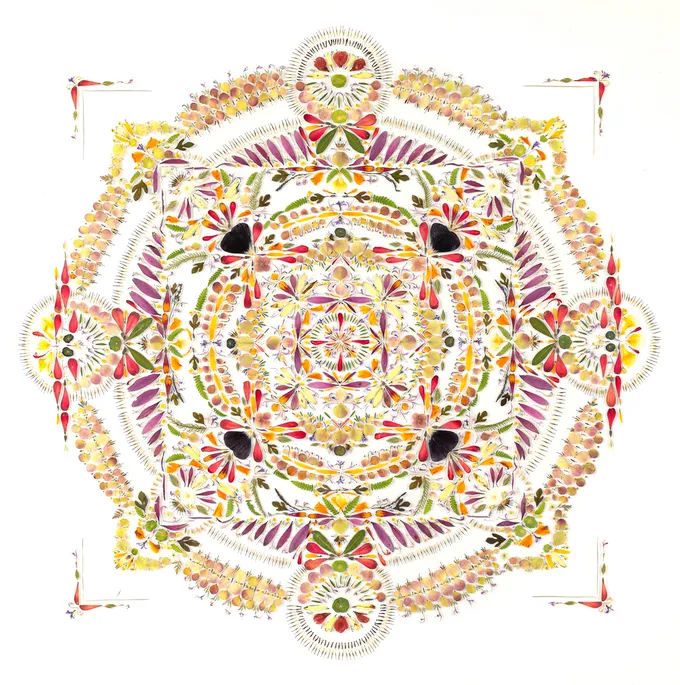 Leaves and petals arranged in a mandala pattern