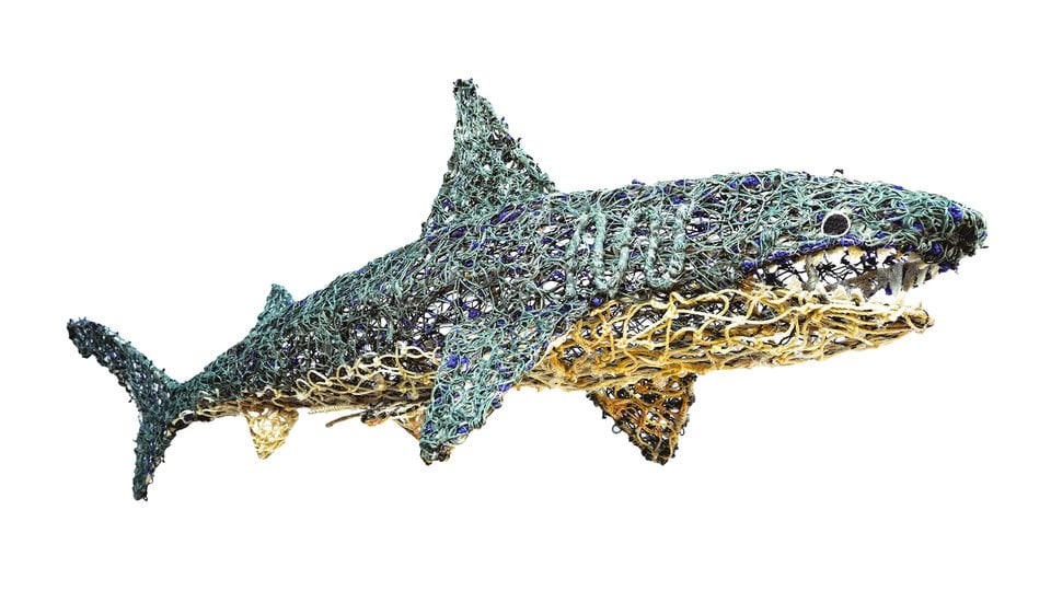 Shark sculpture