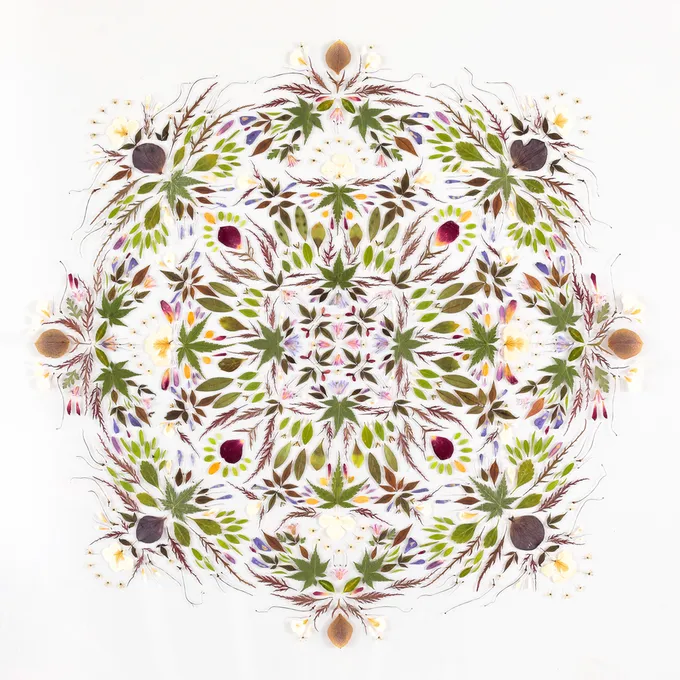 Leaves and petals arranged in a mandala pattern
