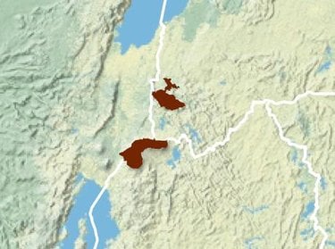 Gorilla range map