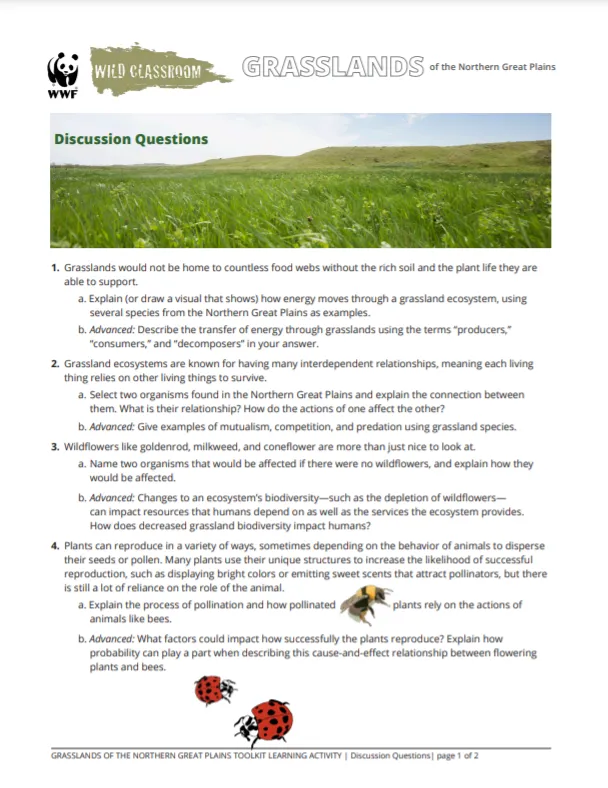Grasslands Toolkit Discussion Questions