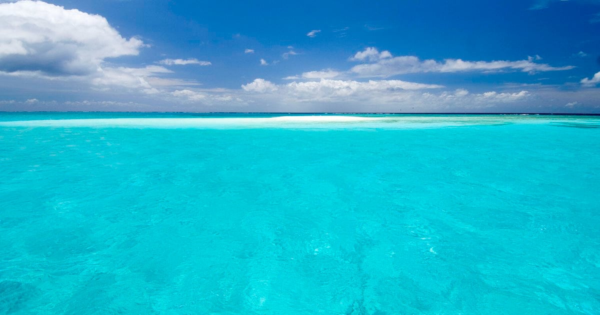 Royal Caribbean Group | World Wildlife Fund