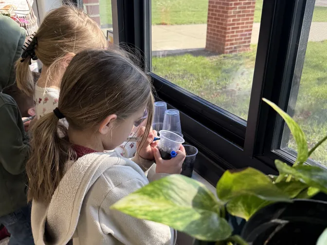 Students growing plants as part of greenprints program