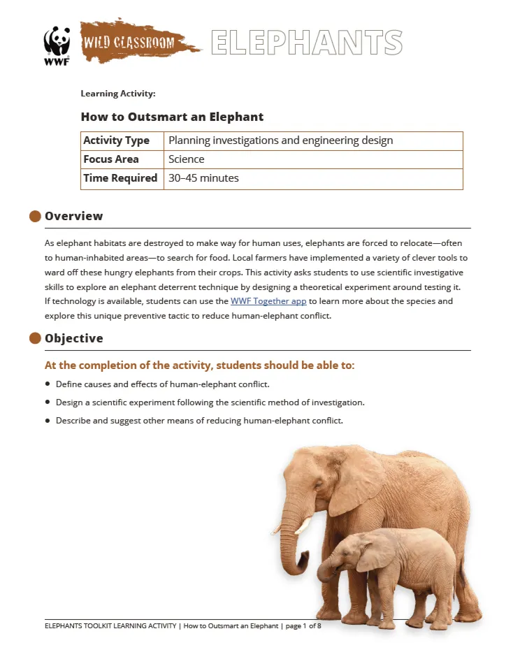 A preview of the How to Outsmart an Elephant learning activity