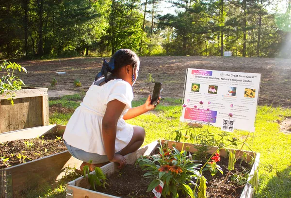 Young learner in a nature walk