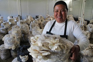 A mushroom producer holding a bag of mushrooms in a warehouse surrounded by other bags of mushrooms.