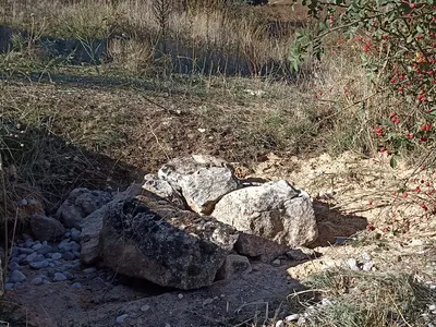 Stones covering a filled hole