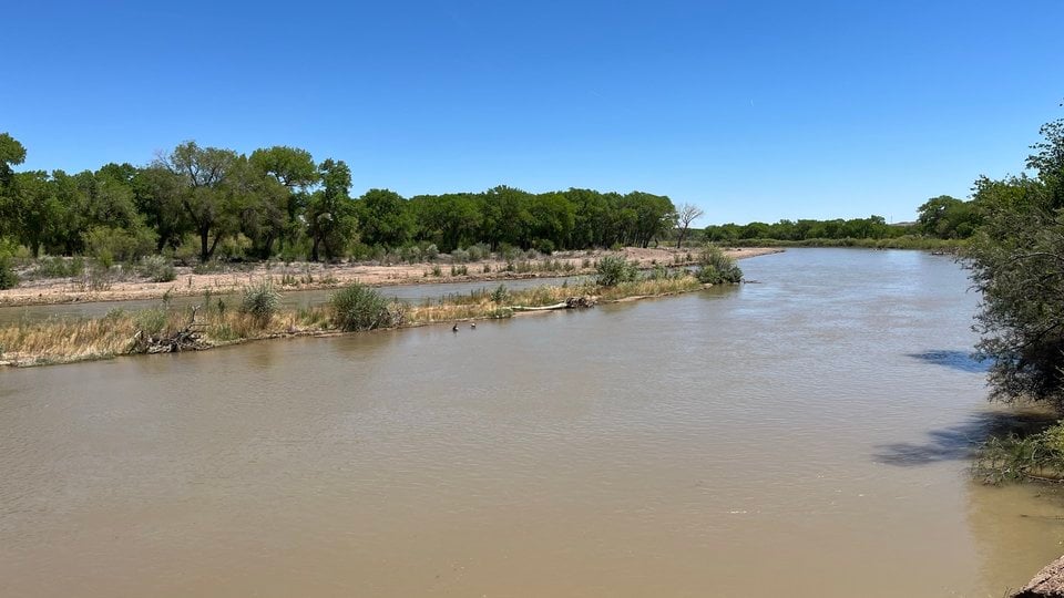 The Rio Grande river with natural muddy water, surrounded by it's green, tree lined banks.