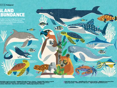 Thumbnail of animals of Madagascar