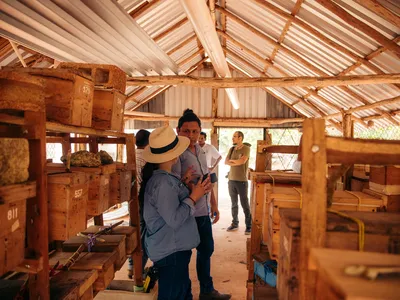 Two people talk in a covered area with several stingless bee hives.