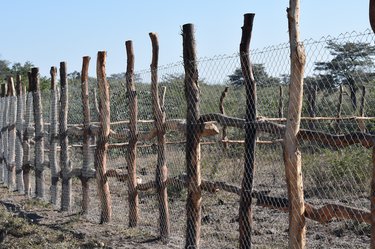 Permanent enclosure for livestock