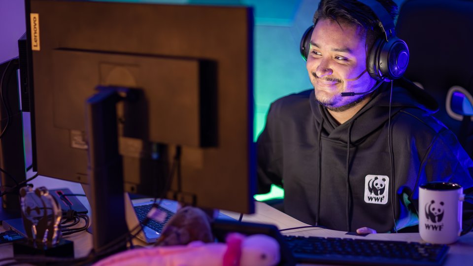 A man wearing a WWF hoodie and and headphones smiles at this computer screen while livestreaming.