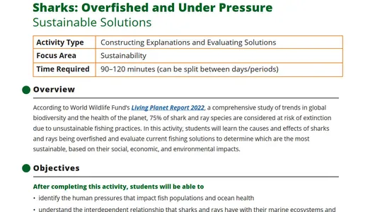 Sharks: Overfished and Under Pressure Preview