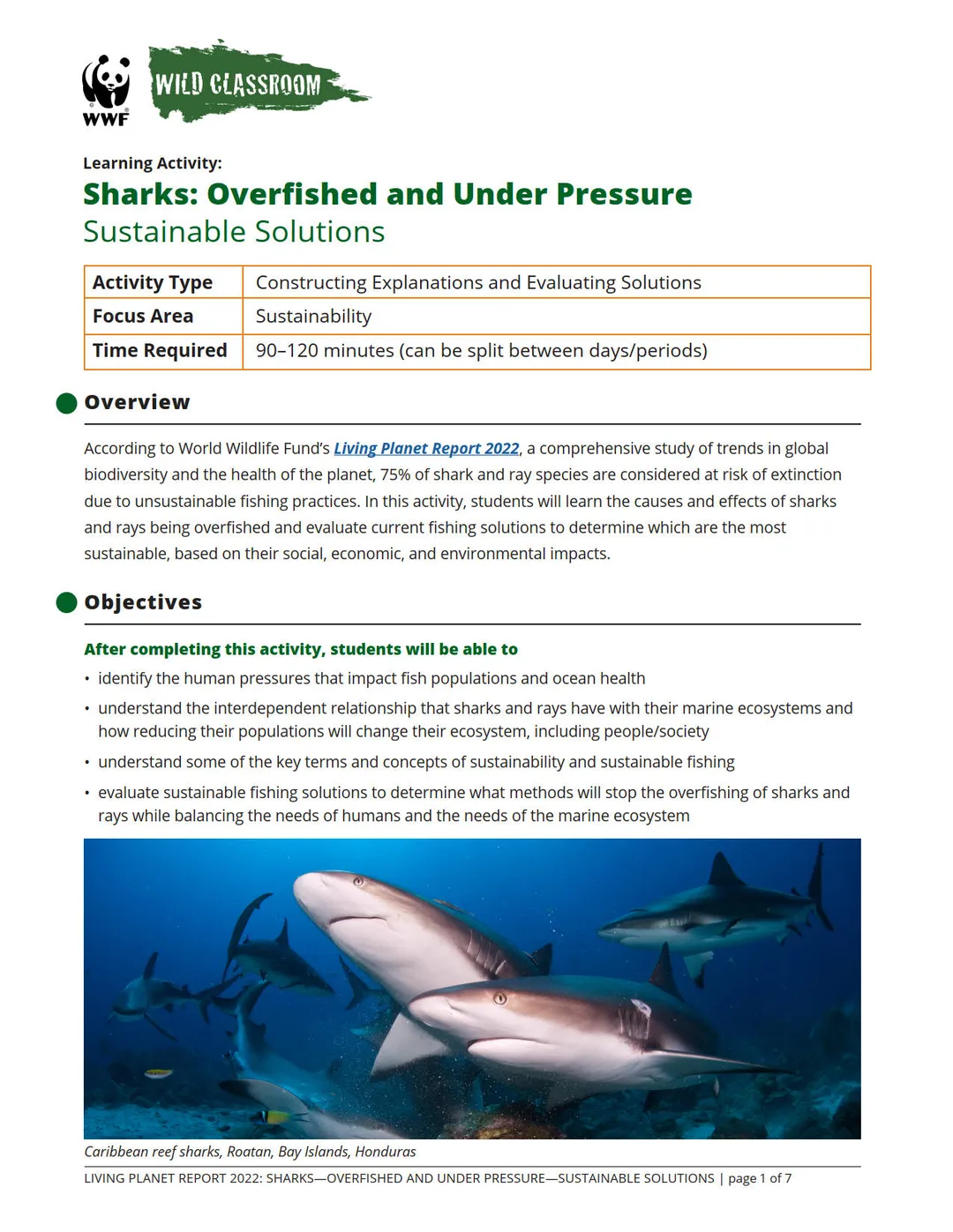 Sharks: Overfished and Under Pressure Preview