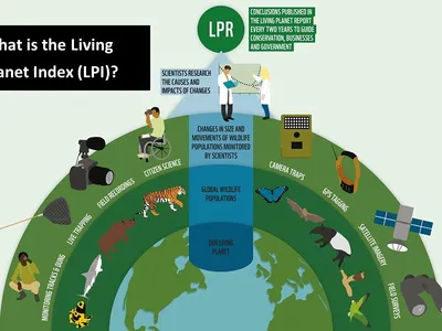 Living Planet Report 2022 Classroom Presentation
