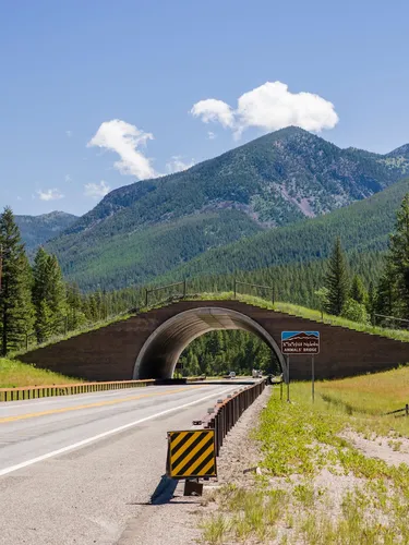 A bridge over a rural road with vegetation on it